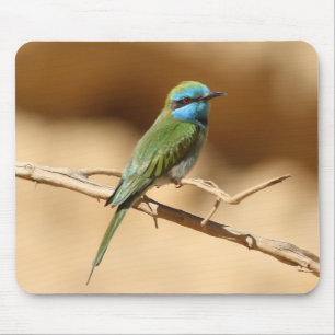 Little Green Bee-eater Mouse Pad
