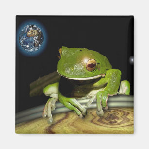LITTLE GREEN FROG MAGNET