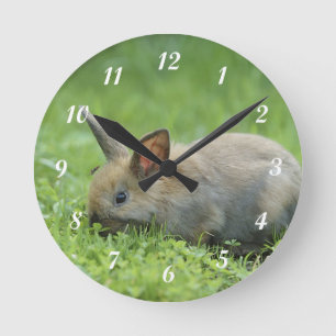 Little Grey Bunny Round Clock
