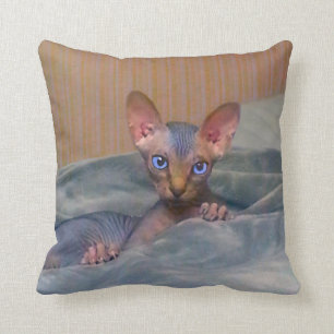 Little grey Sphynx kitten Cushion