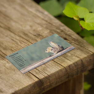 Little Ground Squirrel Nature Photo Business Card