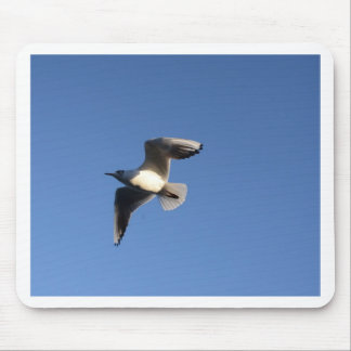 Little Gull Mouse Pad