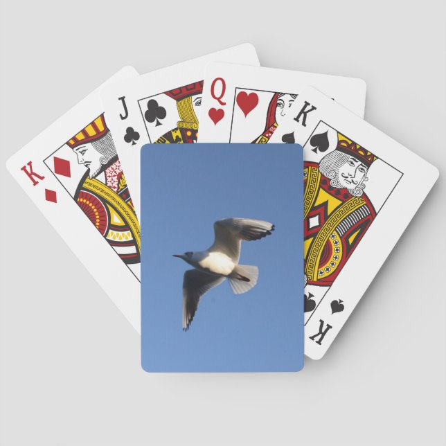 Little Gull Playing Cards (Back)