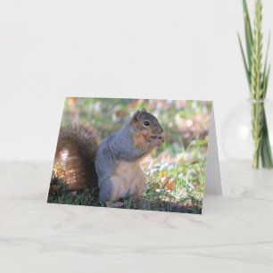 Little guy card