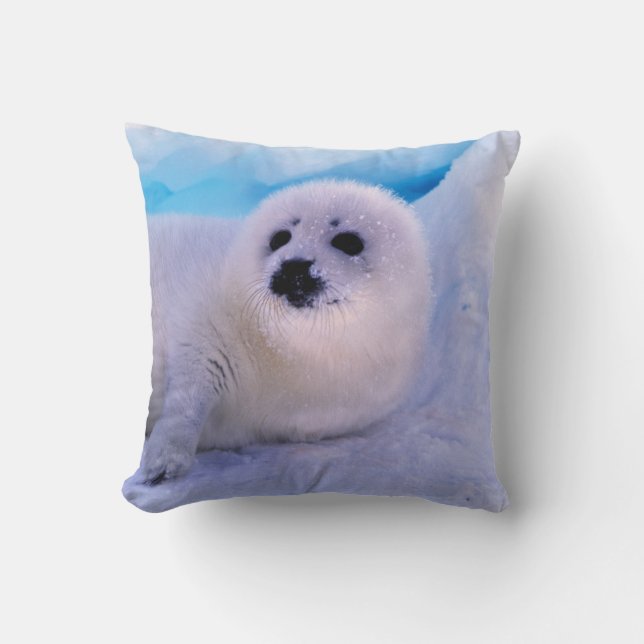 Little Harp Seal Pup Covered in Snowflakes Cushion (Front)