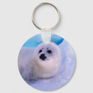 Little Harp Seal Pup Covered in Snowflakes Key Ring