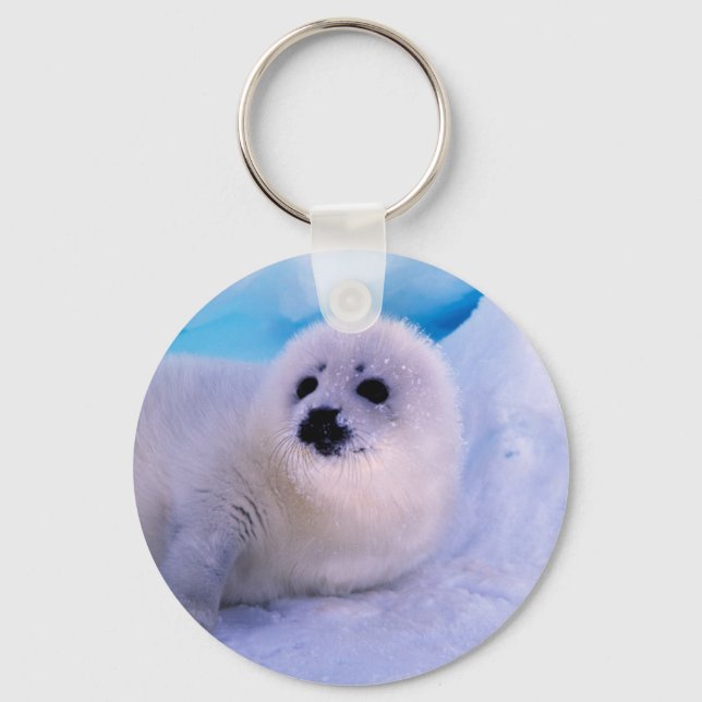 Little Harp Seal Pup Covered in Snowflakes Key Ring (Front)