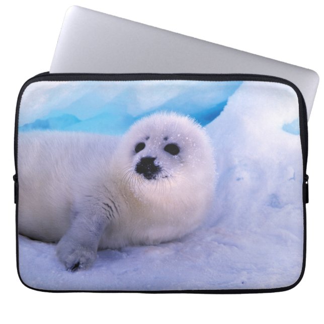 Little Harp Seal Pup Covered in Snowflakes Laptop Sleeve (Front)