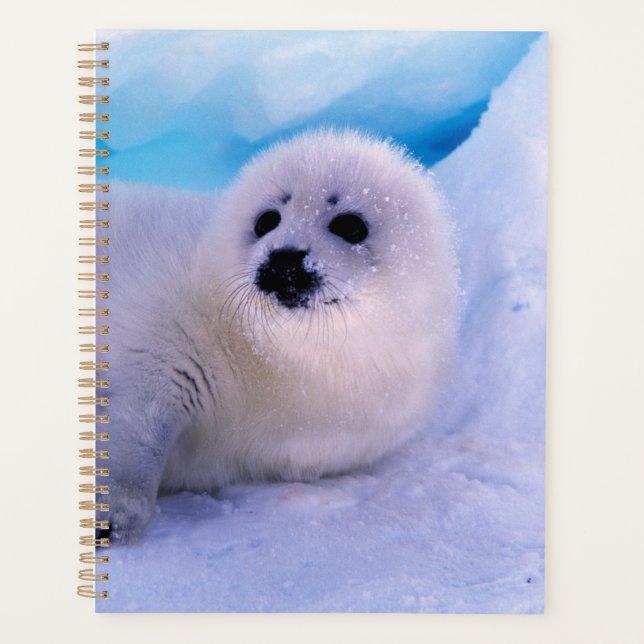 Little Harp Seal Pup Covered in Snowflakes Planner (Front)