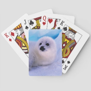 Little Harp Seal Pup Covered in Snowflakes Playing Cards