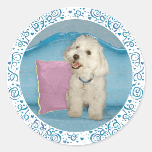 Little Havanese on Turquoise Sofa Classic Round Sticker