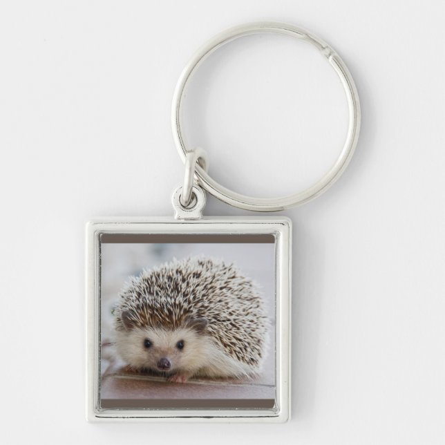 little hedgehog keychain (Front)