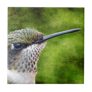 Little Hummer Ceramic Tile