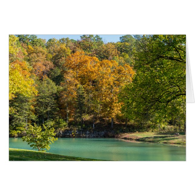 Little Indian Goldie (Front Horizontal)