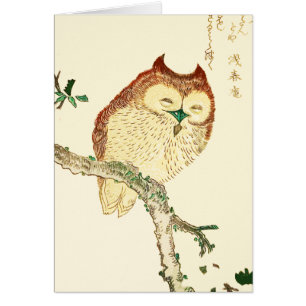 Little Japanese owl