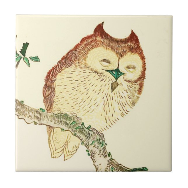 Little Japanese owl Ceramic Tile (Front)