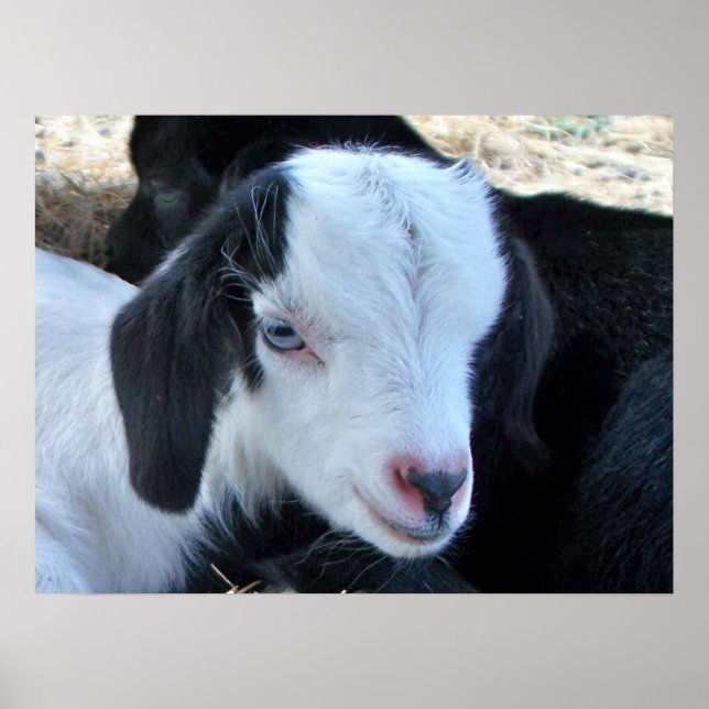 Little Kid Face Poster (Front)