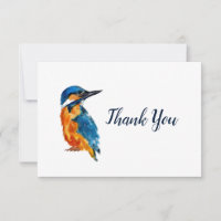 Little Kingfisher Bird