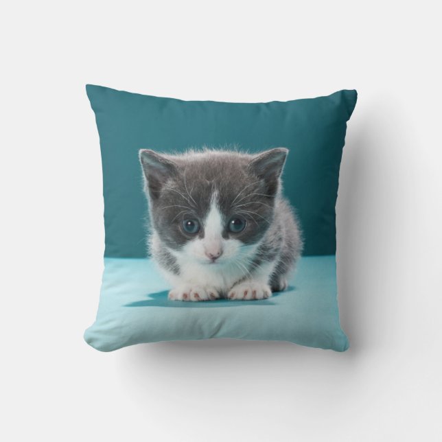 Little Kitten Cushion (Front)