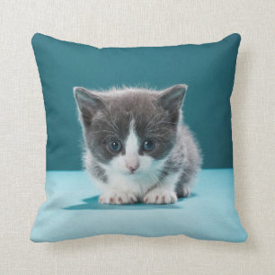 Little Kitten Cushion