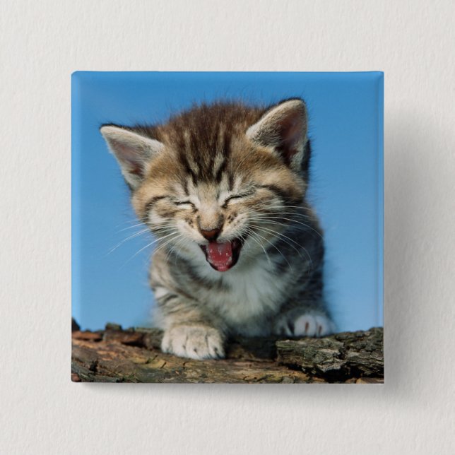 Little Kitten in a Tree 15 Cm Square Badge (Front)