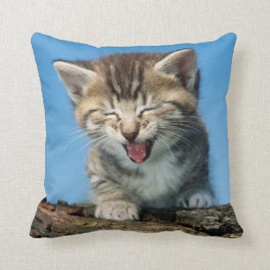 Little Kitten in a Tree Cushion