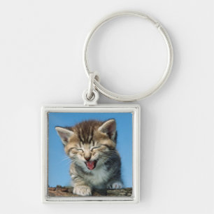 Little Kitten in a Tree Key Ring