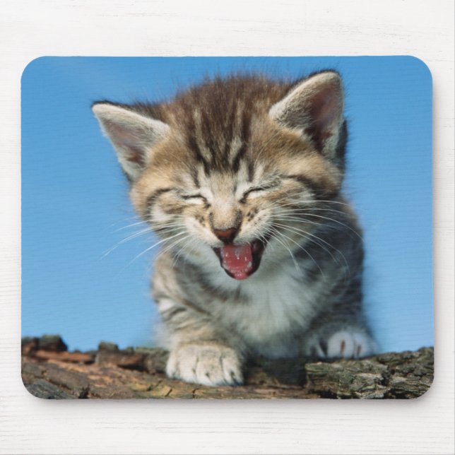 Little Kitten in a Tree Mouse Pad (Front)