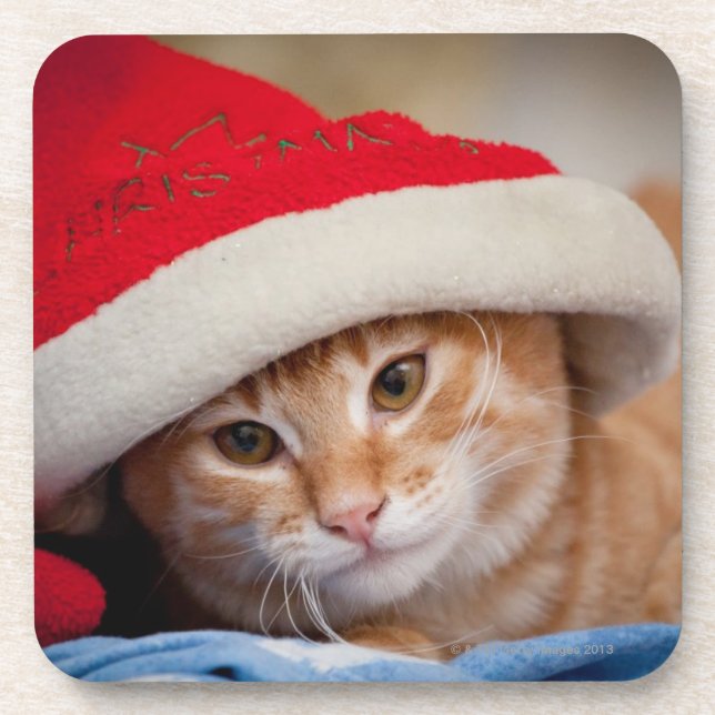 Little Kitten in Red Christmas Hat Coaster (Front)