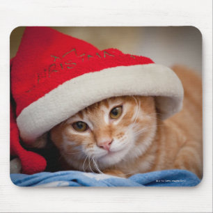 Little Kitten in Red Christmas Hat Mouse Pad