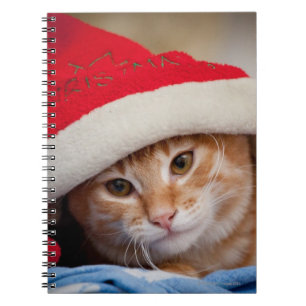 Little Kitten in Red Christmas Hat Notebook