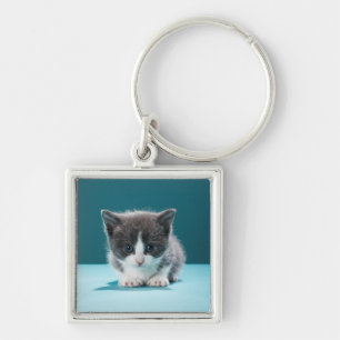 Little Kitten Key Ring