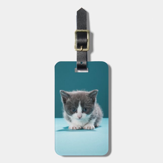 Little Kitten Luggage Tag (Front Vertical)
