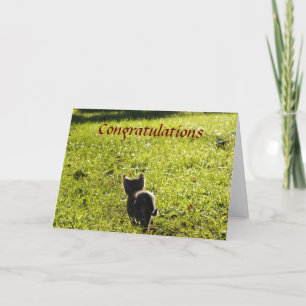 Little Kitten Multi Purpose Card