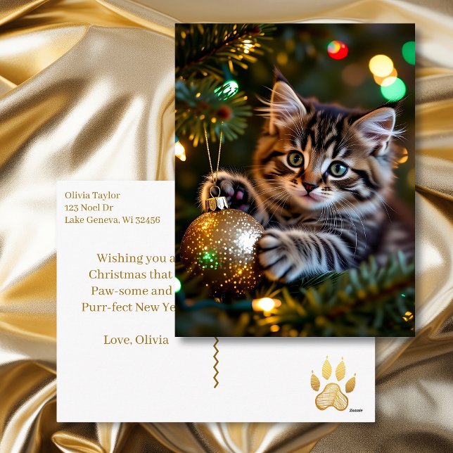 Little Kitten on Christmas Tree Personalized Holiday Postcard (Creator Uploaded)