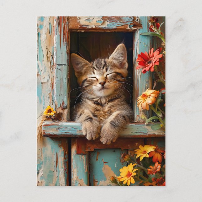 Little Kitten Sleeping in Garden Shed with Bloomin Postcard (Front)