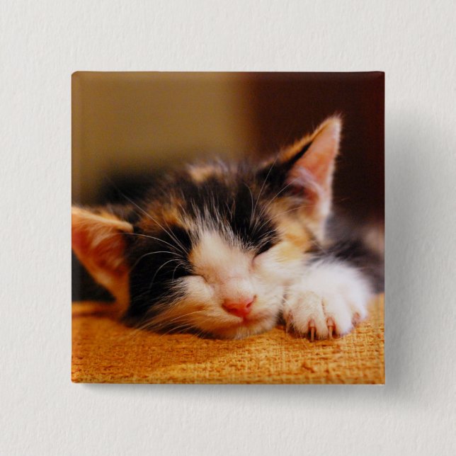 Little Kitty Sleeping 15 Cm Square Badge (Front)
