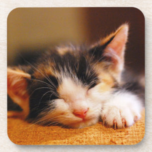 Little Kitty Sleeping Coaster