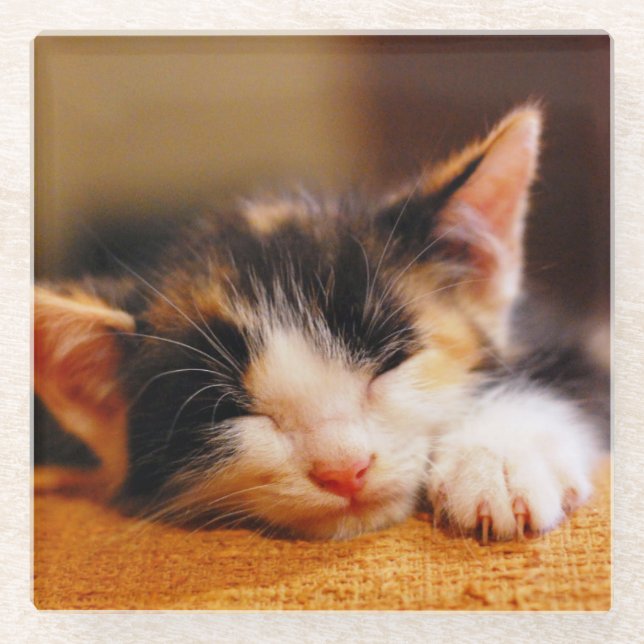 Little Kitty Sleeping Glass Coaster (Front)