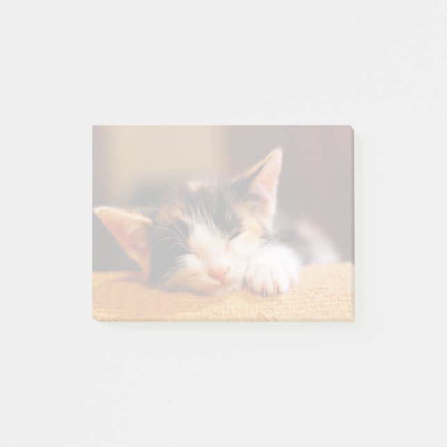 Little Kitty Sleeping Post-it Notes (Front)