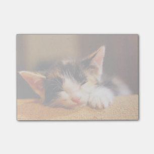 Little Kitty Sleeping Post-it Notes