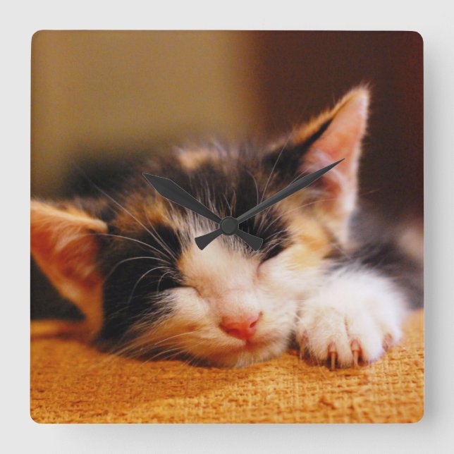 Little Kitty Sleeping Square Wall Clock (Front)
