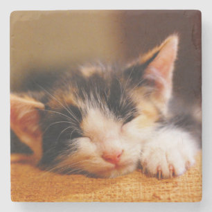 Little Kitty Sleeping Stone Coaster