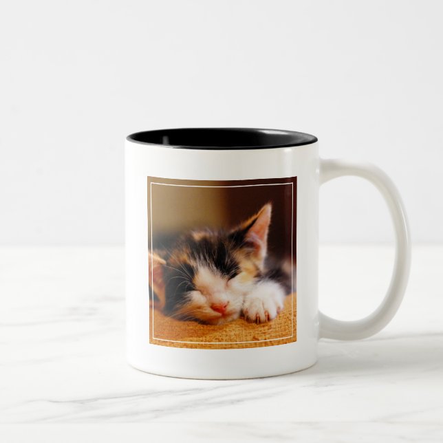 Little Kitty Sleeping Two-Tone Coffee Mug (Right)
