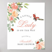 Little Lady Ladybug Roses Girl Baby Shower
