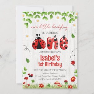  Little Ladybug Birthday Invitation