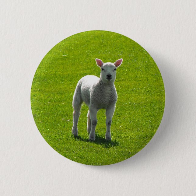 Little Lamb 6 Cm Round Badge (Front)