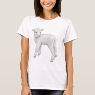 Little Lamb Babydoll Shirt
