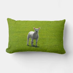 Little Lamb Lumbar Cushion