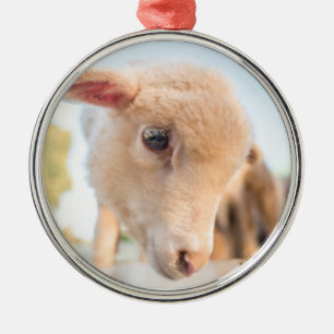 Little Lamb Metal Ornament